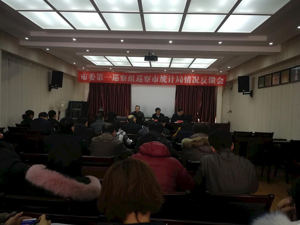 市统计局召开巡察反馈大会