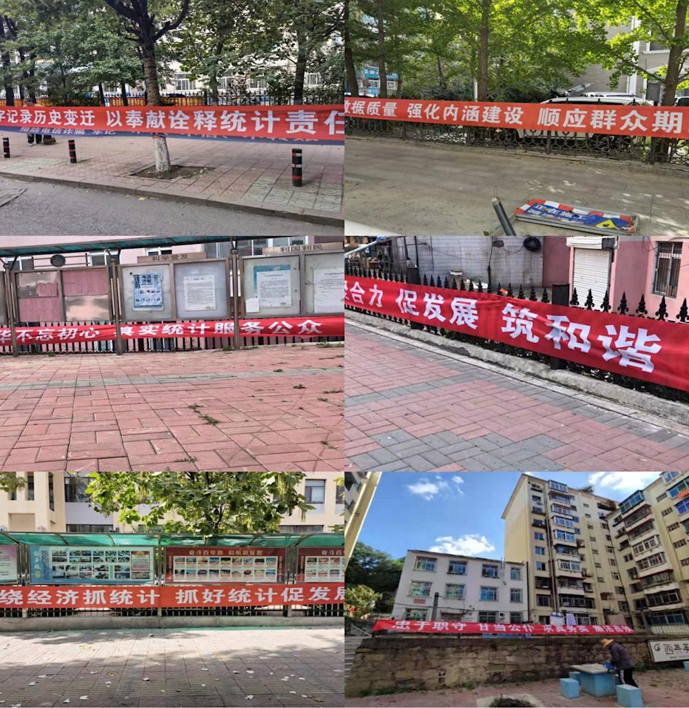 第十二个统计开放日宣传