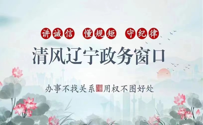 清风辽宁政务窗口